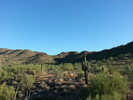 photo thumbnail #7
