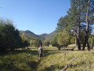 photo thumbnail #9