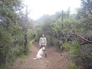 photo thumbnail #11