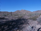 photo thumbnail #4