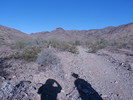 photo thumbnail #5