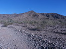 photo thumbnail #6