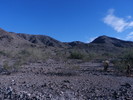 photo thumbnail #7