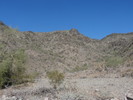photo thumbnail #12