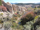 photo thumbnail #3