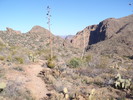 photo thumbnail #2