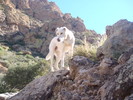 photo thumbnail #6