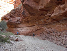 photo thumbnail #2