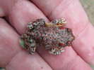 photo thumbnail #8