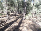 photo thumbnail #11