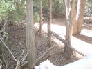 photo thumbnail #14
