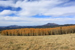 photo thumbnail #15