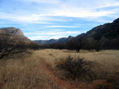 photo thumbnail #6