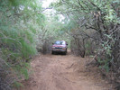 photo thumbnail #4