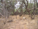 photo thumbnail #8