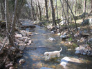 photo thumbnail #1