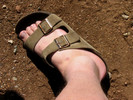 photo thumbnail #9