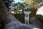 photo thumbnail #6