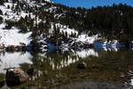 photo thumbnail #11