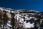 photo thumbnail #12