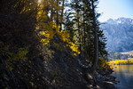 photo thumbnail #9