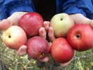 photo thumbnail #9