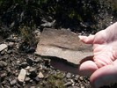 photo thumbnail #10