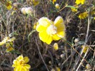 photo thumbnail #15