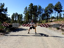 photo thumbnail #8