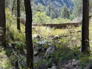 photo thumbnail #12
