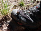 photo thumbnail #14