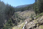 photo thumbnail #8