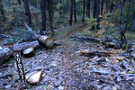 photo thumbnail #1