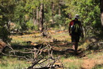 photo thumbnail #5