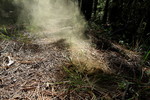 photo thumbnail #12