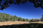 photo thumbnail #14