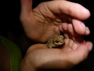 photo thumbnail #7
