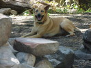 photo thumbnail #8