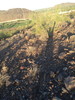 photo thumbnail #4