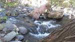photo thumbnail #13