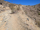 photo thumbnail #4