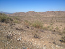 photo thumbnail #7