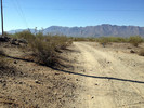 photo thumbnail #12