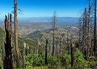 photo thumbnail #4
