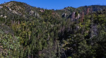 2013-09-28 :1: Butterfly Trail #16 - Catalina :: tibber