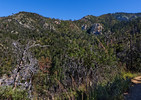 2013-09-28 :1: Butterfly Trail #16 - Catalina :: tibber