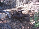 photo thumbnail #4