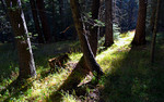 photo thumbnail #2