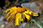 photo thumbnail #14