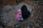 photo thumbnail #1